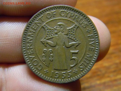 5 мил Кипр 1955 - DSCN0358.JPG