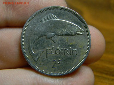 Флорин Ирландия 1959 - DSCN0362.JPG
