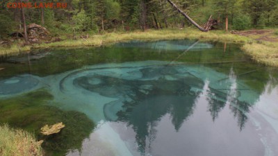 ФОТО - просто фото. Те что получились удачными. - IMG_3275.JPG