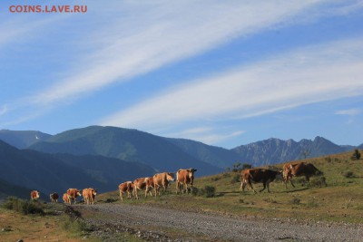 ФОТО - просто фото. Те что получились удачными. - IMG_3803.JPG