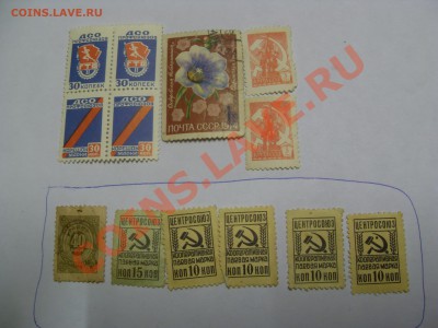 пожалуйста помогите с оценкой - SDC11891.JPG