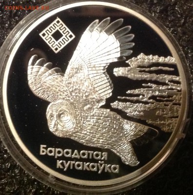 Сова Белорусь 20 рублей 2005 до 21.6 в 22.00 - IMG_8673.JPG