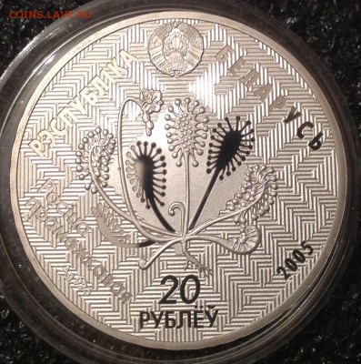 Сова Белорусь 20 рублей 2005 до 21.6 в 22.00 - IMG_8672.JPG