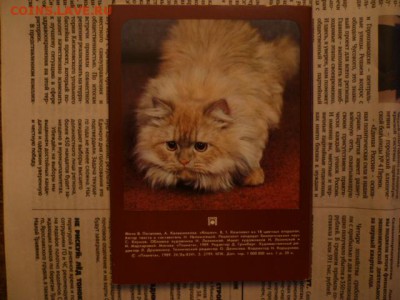 Наборы открыток,коверты СССР... - P1120138.JPG