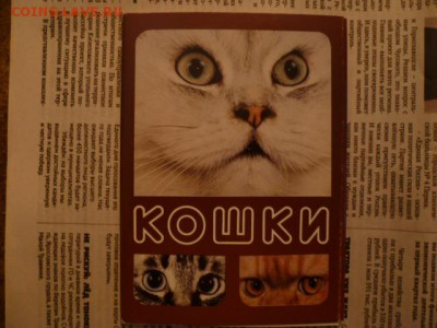 Наборы открыток,коверты СССР... - P1120137.JPG