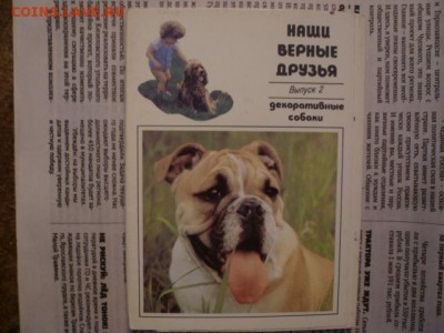 Наборы открыток,коверты СССР... - P1120135.JPG
