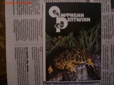 Наборы открыток,коверты СССР... - P1120131.JPG