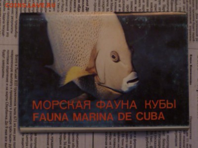 Наборы открыток,коверты СССР... - P1120128.JPG