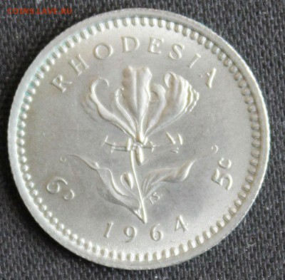 С 1 РУБ. БРИТ.РОДЕЗИЯ 6 пенсов 1964г. UNC до 18.6 КОРОТКИЙ! - IMG_7477.JPG