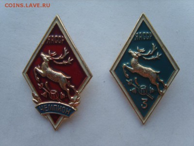 ЯАССР чемпион+3 место.(2 зн.Алюминь)до 19.06.17.в 22.00 - S8309460.JPG