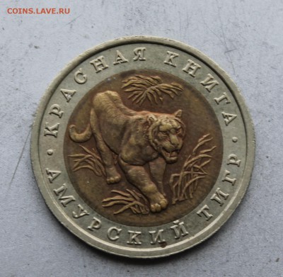 10 рублей 1992 год Амурский тигр. - IMG_4865.JPG
