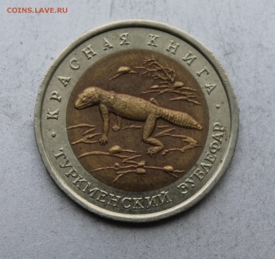 50 рублей 1993 год.Туркменский зублефар. - IMG_4875.JPG
