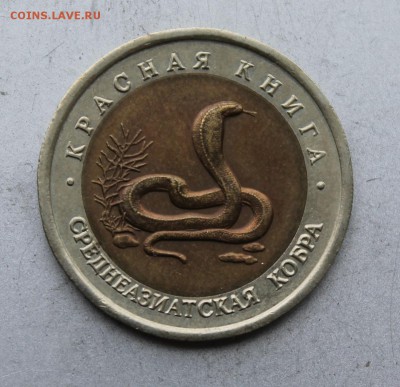 10 рублей 1992 год.Среднеазиатская кобра. - IMG_4887.JPG