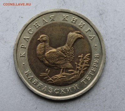 50 рублей 1993 год.Кавказский тетерев. - IMG_4893.JPG