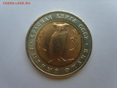 5р.1991г.Филин.СПМД.до 19.06.17.в 22.15 - S8309749.JPG