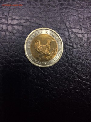 КК93 Кавказсий тетерев с 200 рублей до 21.06.2017 - IMG_0334-15-06-17-01-20.JPG