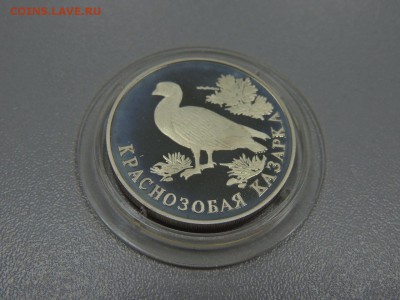 1 рубль 1994 года Краснозобая казарка с 200 до 20.06.2017 - DSCN3735