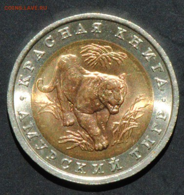 Красная Книга. 10 руб 1992. Тигр. С 200. До 22.06 - 023