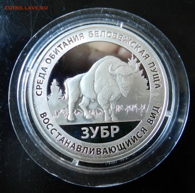 мадаль(жетон) из серии Красная Книга "Зубр" серебро (пруф) - DSCN6880