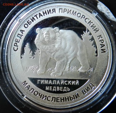медаль(жетон) из сер Красная Книга "Медведь" серебро (пруф) - DSCN6883
