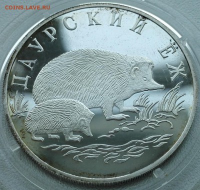 1 рубль 1999, Даурский еж - 4