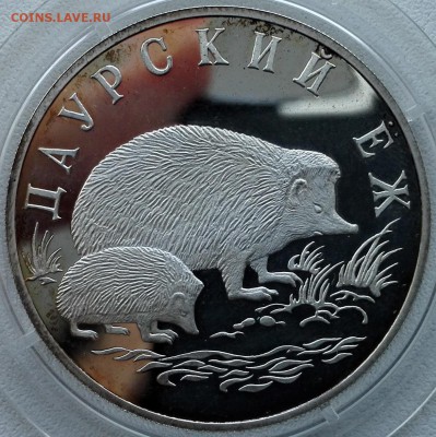 1 рубль 1999, Даурский еж - 1