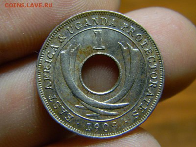 1 цент Уганда 1909г - DSCN0469.JPG