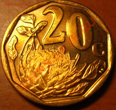 Африка 20с 2007г - DSCN3117