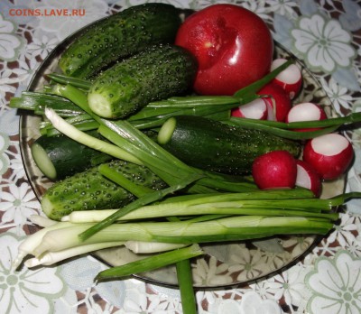 Повар - состояние души... - DSC02731.JPG