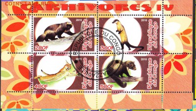 Конго 2010 фауна (2) - 5