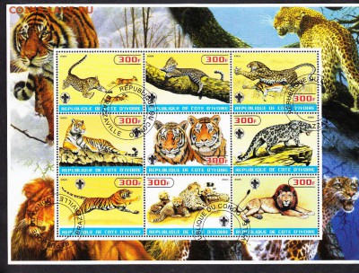 Берег Сл Кости тигры - 24