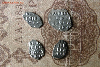 4 чешуйки, оценка, определение - IMG_1973.JPG