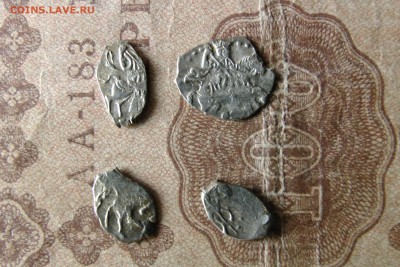 4 чешуйки, оценка, определение - IMG_1974.JPG