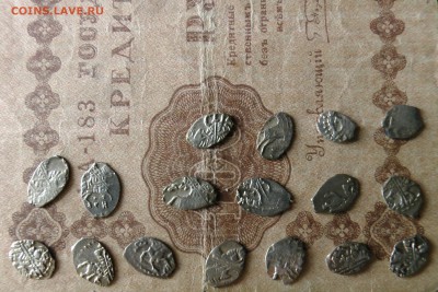Чешуйки Петра, отличные. Оценка - IMG_1976.JPG