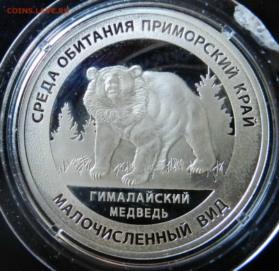 Жетон - СПМД -сер.925 Пруф - Красная книга - Медведь - DSCN6883