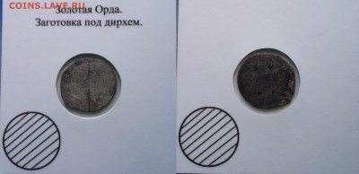 8 дирхем Золотой Орды +бонус - NEXOl0kDs-k