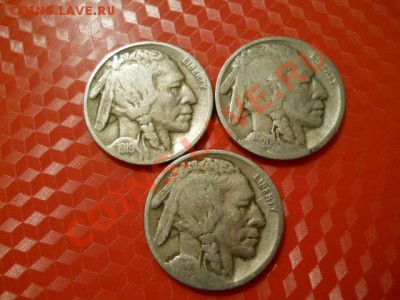 Буффало, Бизон - погодовка 1919, 20, 23. до 24.02. 20-00 Мск - DSCN1498.JPG
