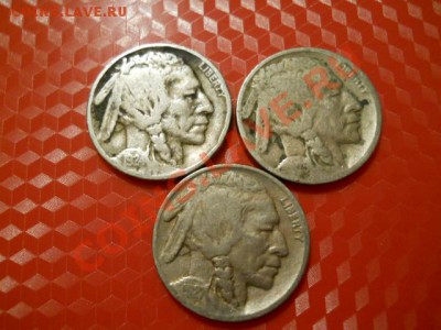 Буффало, Бизон - погодовка 1924, 25, 27. до 24.02. 20-00 Мск - DSCN1506.JPG