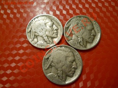 Буффало, Бизон - погодовка 1928, 29, 30. до 24.02. 20-00 Мск - DSCN1510.JPG