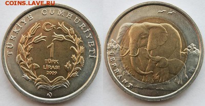 Биметалл!! Турция 1 лира 2009 Слон - 0_4fefd_ccd5107_XL