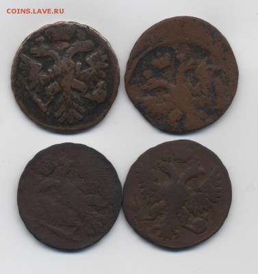 Денга 1737, 1739, 1749, ? гг. - 010