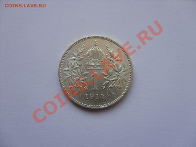 1 крона. Австрия. 1914. Серебро. Отличный сохран. - 1 крона Австрия - 3.JPG