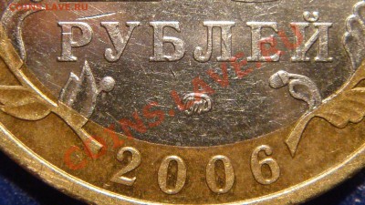 Приморье - похожа на многие, но всё равно не определяется!?! - DSC09760.JPG