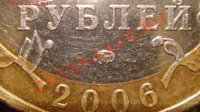 Приморье - похожа на многие, но всё равно не определяется!?! - DSC09743.JPG