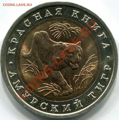 Амурский тигр Красная книга до 23.02 в 22.00 мск - 2011-02-21 06-21-48_0023