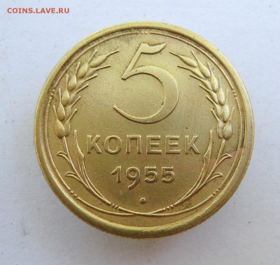 5 копеек 1955 г. до 23. 06 в 22-00. - IMG_8681.JPG