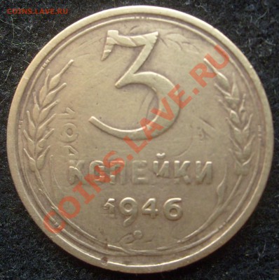Собссно. - S6303147.JPG