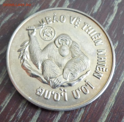 ВЬЕТНАМ - ОРАНГУТАН мешковая до 27.06, 22.00 - вьетнам-обезьяна 1