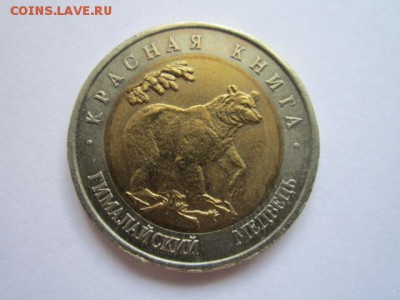 с 200 кк 1993 Медведь до 25.06.2017 в 22:30 - IMG_4058.JPG
