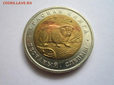 кк 1994 Слепыш до 25.06.2017 в 22:30 - IMG_4071.JPG